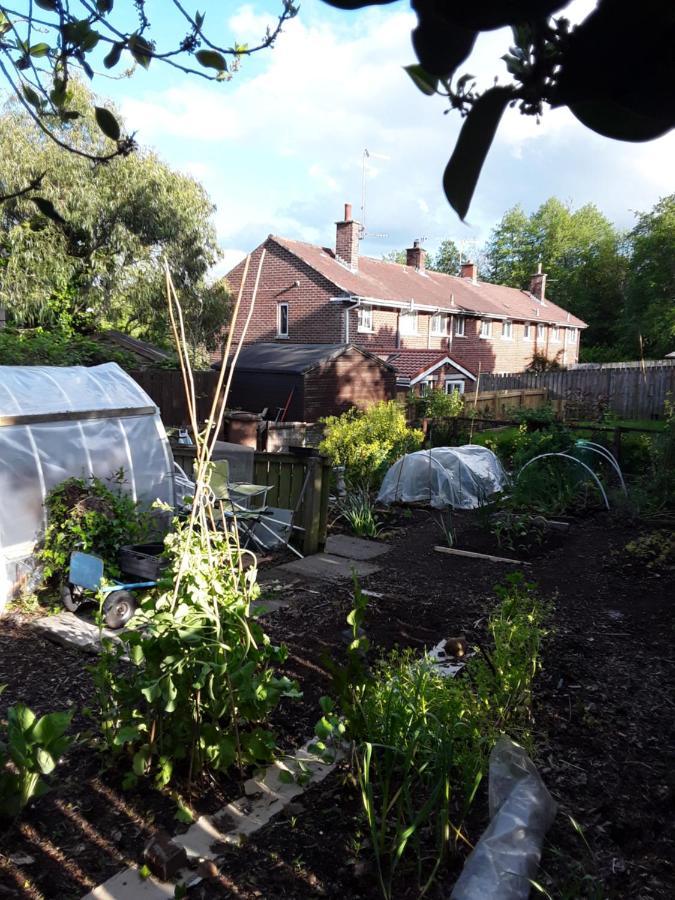 Waveney Holiday home *