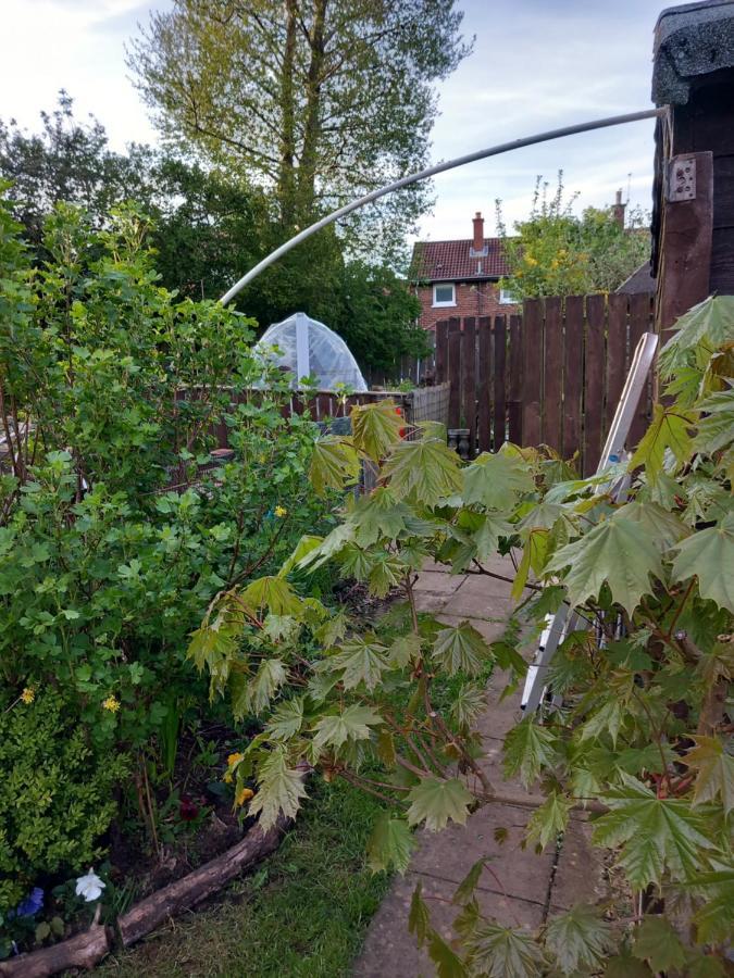 Holiday home Waveney Belfast