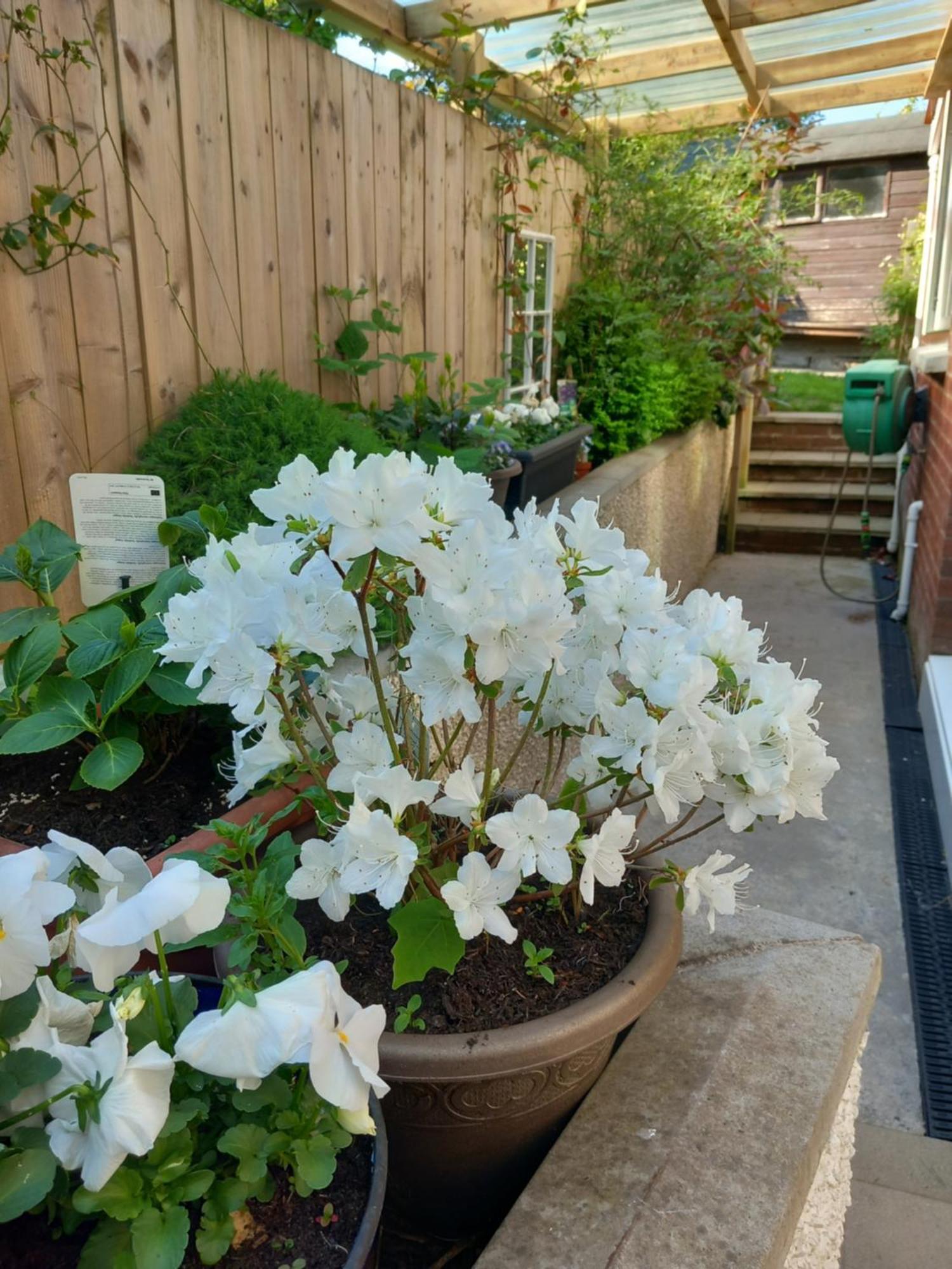 Waveney Holiday home *